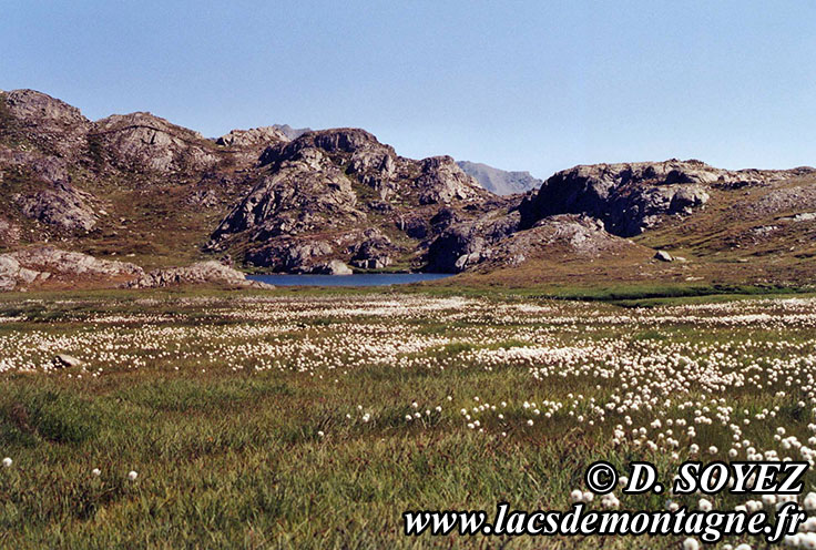Photo n20030722
Lacs du col de Longet (2655m) (Haute Ubaye, Alpes de Haute Provence)
Clich Dominique SOYEZ
Copyright Reproduction interdite sans autorisation