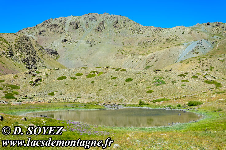 Photo n201607042
Lac Noir (2226m) (Brianonnais, Hautes-Alpes)
Clich Dominique SOYEZ
Copyright Reproduction interdite sans autorisation