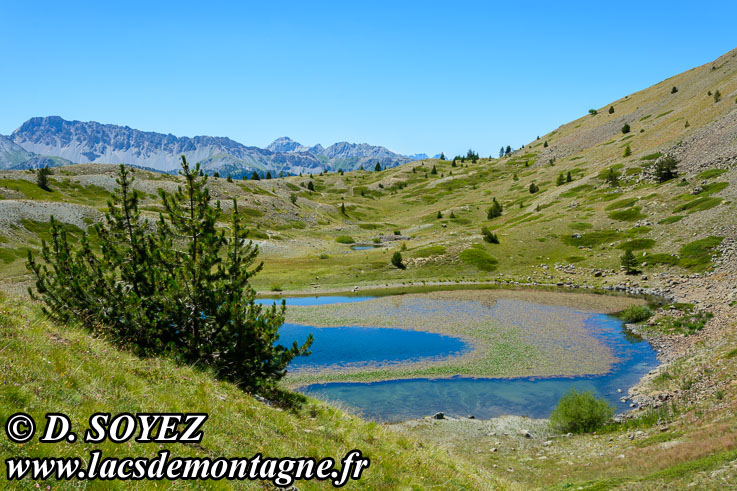 Photo n201607062
Lac Noir (2226m) (Brianonnais, Hautes-Alpes)
Clich Dominique SOYEZ
Copyright Reproduction interdite sans autorisation