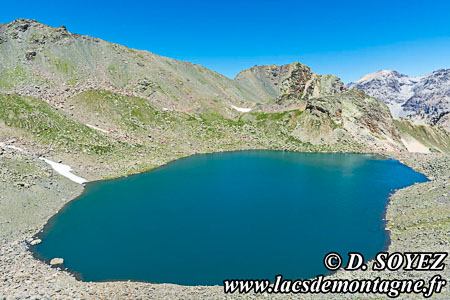 Lac Blanc du Vallon (Nvache) (2695m)
(Brianonnais, Hautes-Alpes)
Clich Dominique SOYEZ
Copyright Reproduction interdite sans autorisation