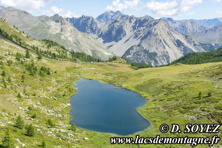 Photo n202107032
Lac de Cristol (2244m) (Brianonnais, Hautes-Alpes)
Clich Dominique SOYEZ
Copyright Reproduction interdite sans autorisation