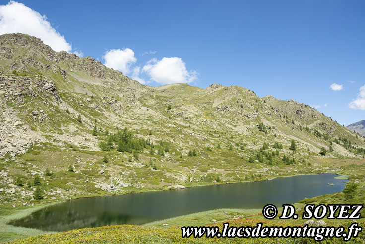 Photo n202107033
Lac de Cristol (2244m) (Brianonnais, Hautes-Alpes)
Clich Dominique SOYEZ
Copyright Reproduction interdite sans autorisation