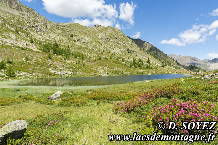 Photo n202107035
Lac de Cristol (2244m) (Brianonnais, Hautes-Alpes)
Clich Dominique SOYEZ
Copyright Reproduction interdite sans autorisation