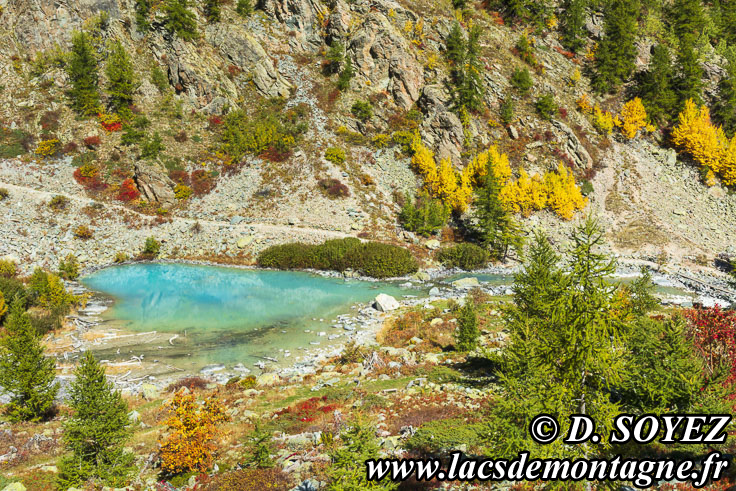 Photo n202209086
Lac de la Douche (1901m) (crins, Hautes-Alpes)
Clich Dominique SOYEZ
Copyright Reproduction interdite sans autorisation