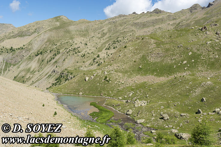 Photo n202107068
Lac du Crachet (2238m) (Embrunais, Hautes-Alpes)
Clich Dominique SOYEZ
Copyright Reproduction interdite sans autorisation