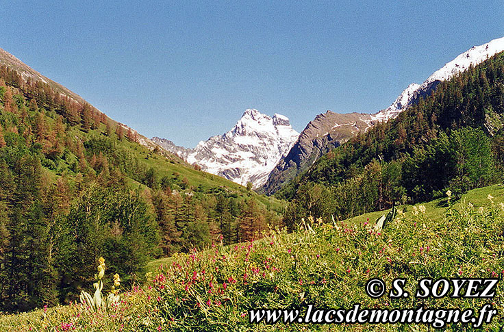 Photo n19920701
Petit Belvdre du Mont Viso (1910m) (Queyras, Hautes-Alpes)
Clich Serge SOYEZ
Copyright Reproduction interdite sans autorisation
