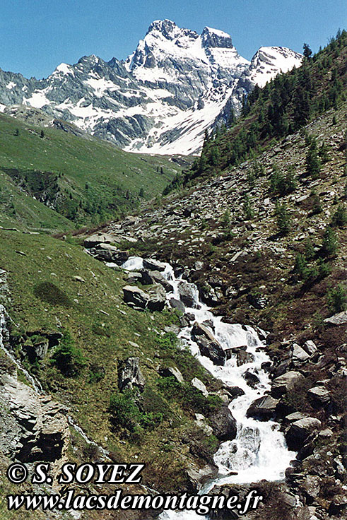 Photo n19920702
Grand Belvdre du Mont Viso (2133m) (Queyras, Hautes-Alpes)
Clich Serge SOYEZ
Copyright Reproduction interdite sans autorisation
