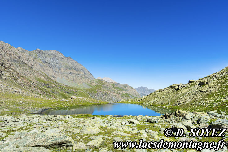 Photo n202207020
Lac Lestio (2510m) (Queyras, Hautes-Alpes)
Clich Dominique SOYEZ
Copyright Reproduction interdite sans autorisation