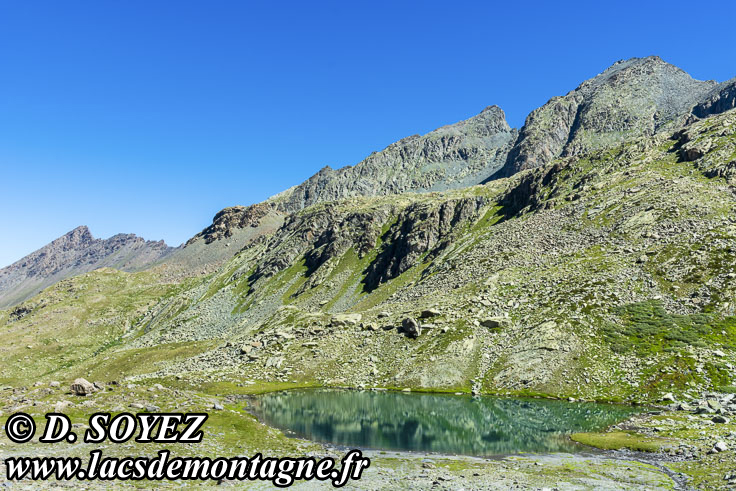 Photo n202207023
Lac Lestio (2510m) (Queyras, Hautes-Alpes)
Clich Dominique SOYEZ
Copyright Reproduction interdite sans autorisation