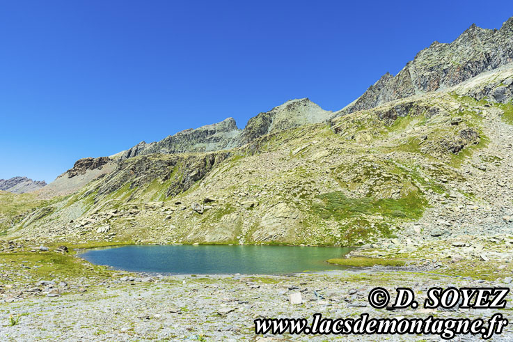 Photo n202207029
Lac Lestio (2510m) (Queyras, Hautes-Alpes)
Clich Dominique SOYEZ
Copyright Reproduction interdite sans autorisation