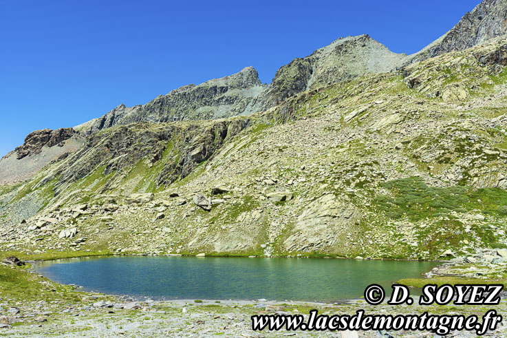 Photo n202207030
Lac Lestio (2510m) (Queyras, Hautes-Alpes)
Clich Dominique SOYEZ
Copyright Reproduction interdite sans autorisation