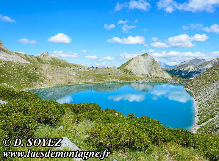Photo n201807095
Lac Sainte-Anne (2415m) (Queyras, Hautes-Alpes)
Clich Dominique SOYEZ
Copyright Reproduction interdite sans autorisation