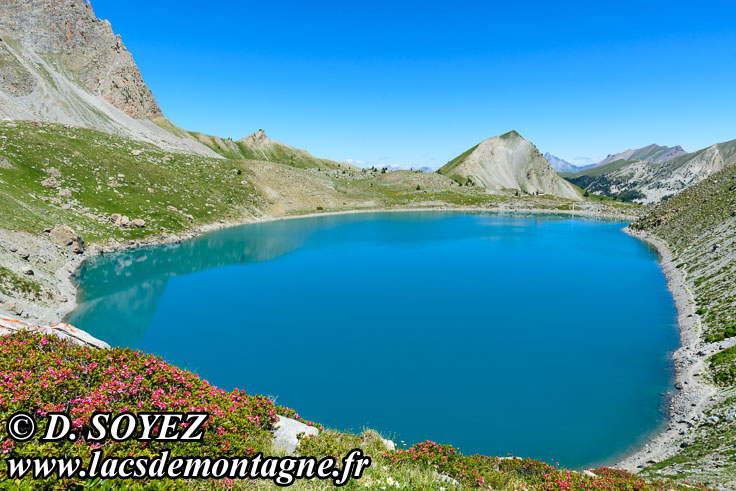 Photo n201907011
Lac Sainte-Anne (2415m) (Queyras, Hautes-Alpes)
Clich Dominique SOYEZ
Copyright Reproduction interdite sans autorisation