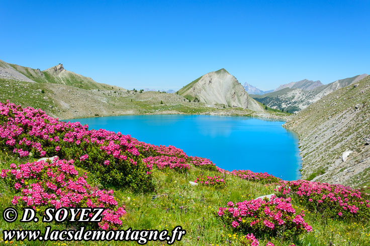 Photo n202007036
Lac Sainte-Anne (2415m) (Queyras, Hautes-Alpes)
Clich Dominique SOYEZ
Copyright Reproduction interdite sans autorisation