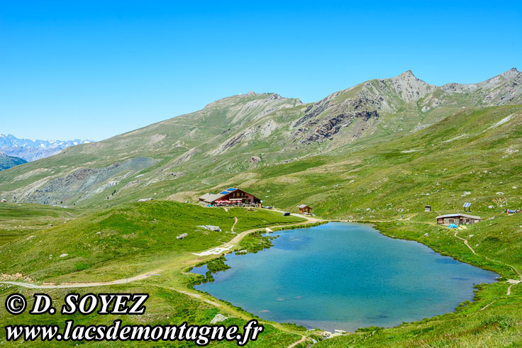 Photo n201707112
Lac de la Blanche (2499m) (Queyras) (Hautes-Alpes)
Clich Dominique SOYEZ
Copyright Reproduction interdite sans autorisation