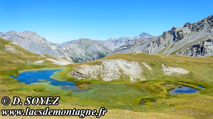 Photo n201507126
Lacs Marion Est (2487m) (Queyras, Hautes-Alpes)
Clich Dominique SOYEZ
Copyright Reproduction interdite sans autorisation