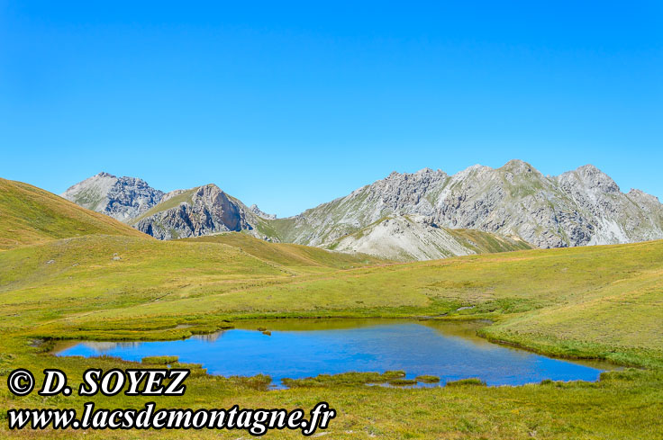 Photo n201507128
Lacs Marion Ouest (2487m) (Queyras, Hautes-Alpes)
Clich Dominique SOYEZ
Copyright Reproduction interdite sans autorisation
