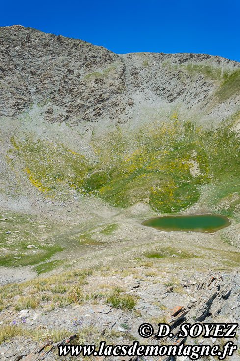 Photo n201507022
Lacs de l'Eychassier (2815m) (Queyras, Hautes-Alpes)
Clich Dominique SOYEZ
Copyright Reproduction interdite sans autorisation