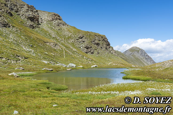 Photo n202107132
Lacs de l'Eychassier (2815m) (Queyras, Hautes-Alpes)
Clich Dominique SOYEZ
Copyright Reproduction interdite sans autorisation