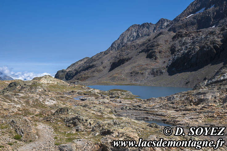 Photo n°202507126
Cliché Dominique SOYEZ
Copyright Reproduction interdite sans autorisation Photo n°202507126
Lac de la Fare (2641m) (Les Grandes Rousses, Isère)
Cliché Dominique SOYEZ
Copyright Reproduction interdite sans autorisation