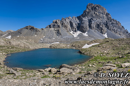 Lac Noir de Chambeyron (2815m)
(Haute Ubaye, Alpes-de-Haute-Provence)
Clich Dominique SOYEZ
Copyright Reproduction interdite sans autorisation