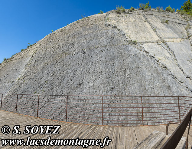 Photo n202505025
La dalle aux Ammonites (Digne-les-Bains, Alpes-de-Haute-Provence)
Clich Serge SOYEZ
Copyright Reproduction interdite sans autorisation