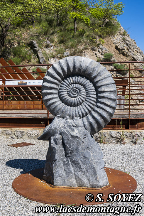 Photo n202505027
La dalle aux Ammonites (Digne-les-Bains, Alpes-de-Haute-Provence)
Clich Serge SOYEZ
Copyright Reproduction interdite sans autorisation