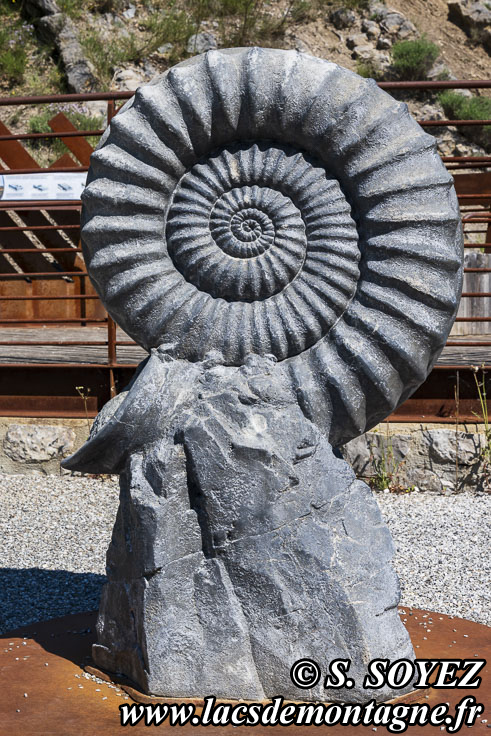 Photo n202505028
La dalle aux Ammonites (Digne-les-Bains, Alpes-de-Haute-Provence)
Clich Serge SOYEZ
Copyright Reproduction interdite sans autorisation
