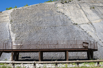 La Dalle aux Ammonites
			de Digne-les-Bains
			(Alpes-de-Haute-Provence)