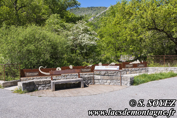Photo n202505031
La dalle aux Ammonites (Digne-les-Bains, Alpes-de-Haute-Provence)
Clich Serge SOYEZ
Copyright Reproduction interdite sans autorisation
