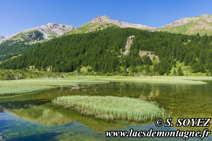 Photo n202407060
Lac des Sagnes (1900m) (Jausiers, Ubaye) (Alpes de Haute Provence)
Clich Serge SOYEZ
Copyright Reproduction interdite sans autorisation