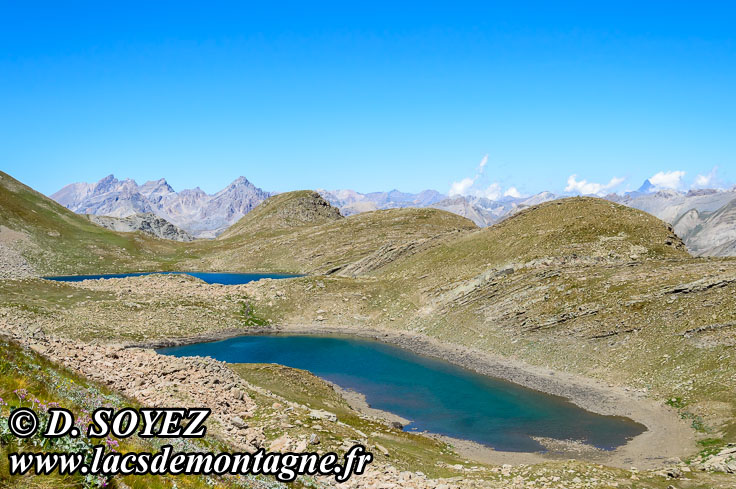 Photo n201207109
Lac des Hommes (sud) (2621m) (Alpes de Haute Provence)
Clich Dominique SOYEZ
Copyright Reproduction interdite sans autorisation