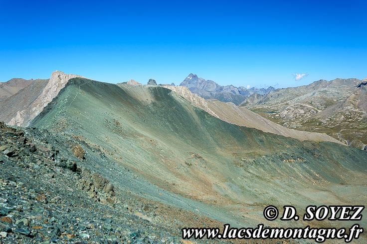 Photo n�201507006
Lac de Longet (2641m)
Clich� Dominique SOYEZ
Copyright Reproduction interdite sans autorisation