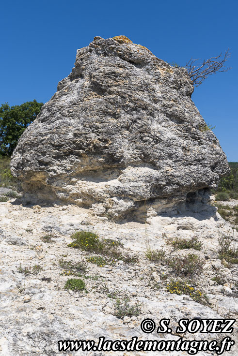 Photo n°202605011
Cliché Serge SOYEZ
Copyright Reproduction interdite sans autorisation Photo n°202605011
Les rochers des Mourres (Luberon, Forcalquier, Alpes-de-Haute-Provence)
Cliché Serge SOYEZ
Copyright Reproduction interdite sans autorisation