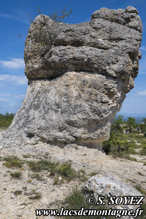 Photo n°202605035
Cliché Serge SOYEZ
Copyright Reproduction interdite sans autorisation Photo n°202605035
Les rochers des Mourres (Luberon, Forcalquier, Alpes-de-Haute-Provence)
Cliché Serge SOYEZ
Copyright Reproduction interdite sans autorisation