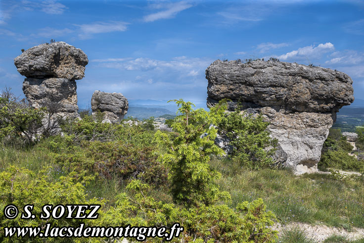 Photo n°202605036
Cliché Serge SOYEZ
Copyright Reproduction interdite sans autorisation Photo n°202605036
Les rochers des Mourres (Luberon, Forcalquier, Alpes-de-Haute-Provence)
Cliché Serge SOYEZ
Copyright Reproduction interdite sans autorisation