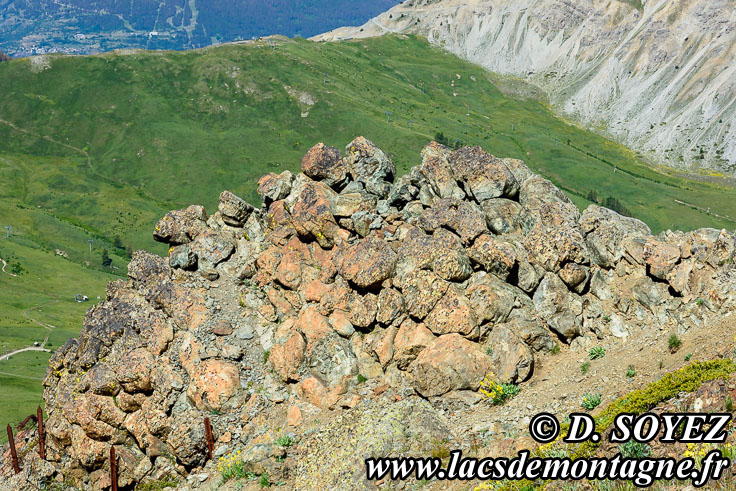 Photo n�201607006
Gabbro non m�tamorphis�
(Montgen�vre, Hautes-Alpes)
Clich� Dominique SOYEZ
Copyright Reproduction interdite sans autorisation