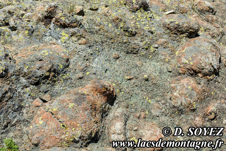 Photo n�201607035
Ophicalcite OC2 (Chenaillet, Brian�onnais, Hautes-Alpes)
Clich� Dominique SOYEZ
Copyright Reproduction interdite sans autorisation