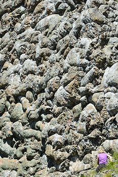 Photo n�201707010
Lave en coussins au Chenaillet
(Brian�onnais, Hautes-Alpes)
Clich� Dominique SOYEZ
Copyright Reproduction interdite sans autorisation