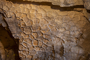 Fentes ou polygones ou craquelures de dessiccation
			Tmoins danciennes lagunes, aux plages de sable fin,
			souvent sches au Trias.
			(Entre SUD du tunnel de Prelles, Rocher Baron,
			Commune de Saint-Martin-de-Queyrires,
			hameau de Prelles, Brianonnais, Hautes-Alpes)