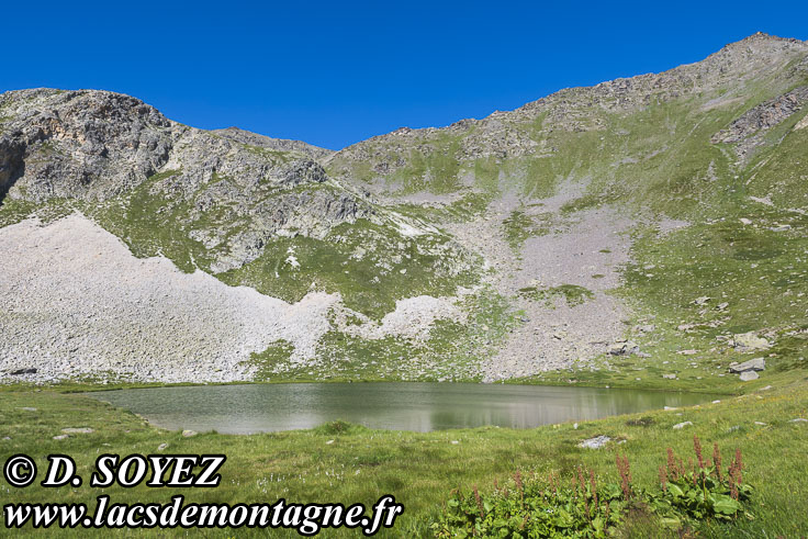 Photo n202507034
Lac Noir du Vallon (Nvache) (2390m) (Brianonnais, Hautes-Alpes)
Clich Dominique SOYEZ
Copyright Reproduction interdite sans autorisation