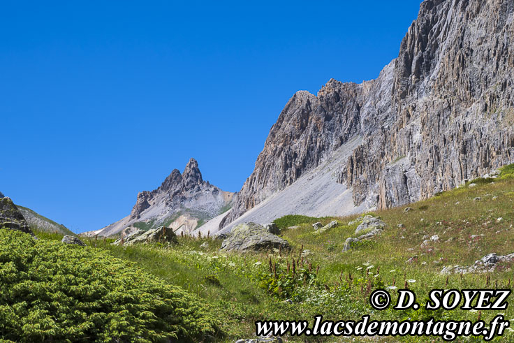 Photo n202507051
Le Vallon vers 2050m (Brianonnais, Hautes-Alpes)
Clich Dominique SOYEZ
Copyright Reproduction interdite sans autorisation
