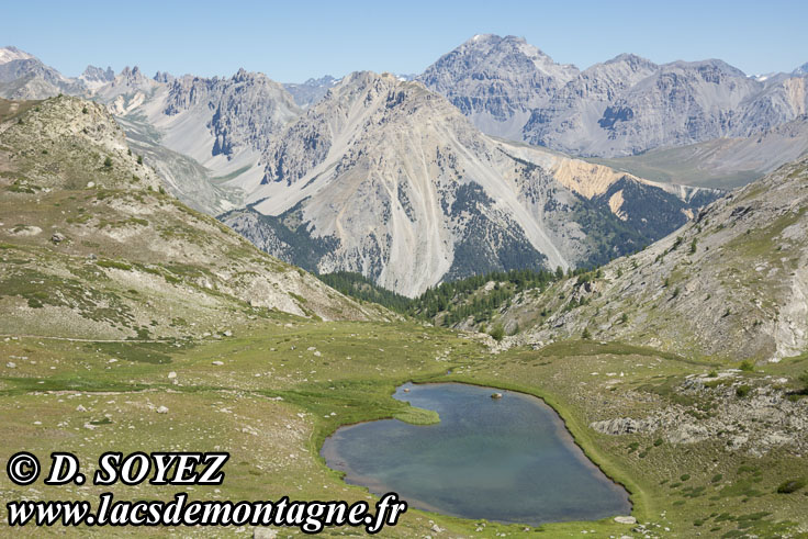 Photo n202107020
Lac de la Barre (2401m) (Brianonnais, Hautes-Alpes)
Clich Dominique SOYEZ
Copyright Reproduction interdite sans autorisation