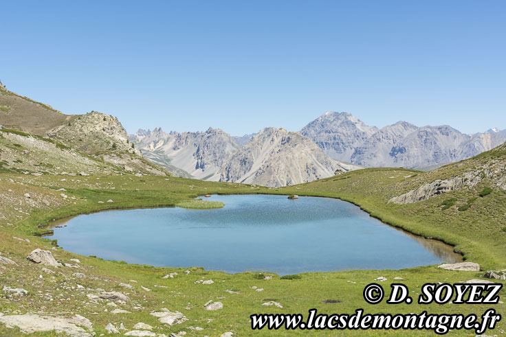 Photo n202107021
Lac de la Barre (2401m) (Brianonnais, Hautes-Alpes)
Clich Dominique SOYEZ
Copyright Reproduction interdite sans autorisation
