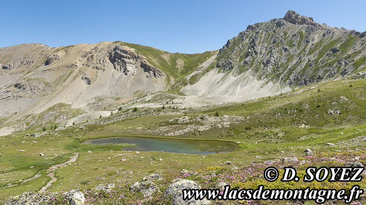 Photo n202107024
Lac de la Barre (2401m) (Brianonnais, Hautes-Alpes)
Clich Dominique SOYEZ
Copyright Reproduction interdite sans autorisation