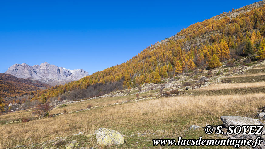 Photo n202410001
Valle de la haute Clare (Valle de la Clare, Brianonnais, Hautes-Alpes)
Clich Serge SOYEZ
Copyright Reproduction interdite sans autorisation