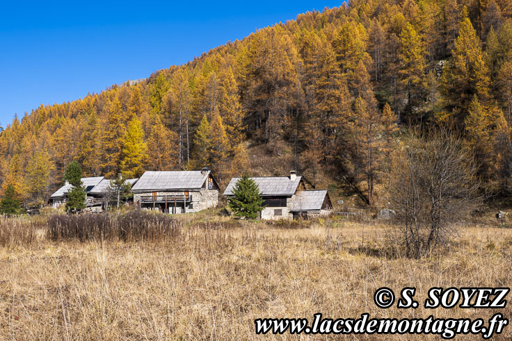 Photo n202410005
Valle de la haute Clare (Valle de la Clare, Brianonnais, Hautes-Alpes)
Clich Serge SOYEZ
Copyright Reproduction interdite sans autorisation