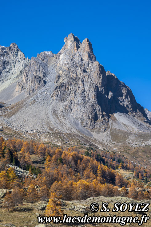 Photo n202410008
La Main de Crpin (2942m) (Valle de la Clare, Brianonnais, Hautes-Alpes)
Clich Serge SOYEZ
Copyright Reproduction interdite sans autorisation