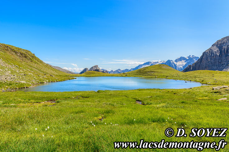 Photo n201907044
Lac de la Ponsonnire (2565m) (Brianonnais, Hautes-Alpes)
Clich Dominique SOYEZ
Copyright Reproduction interdite sans autorisation