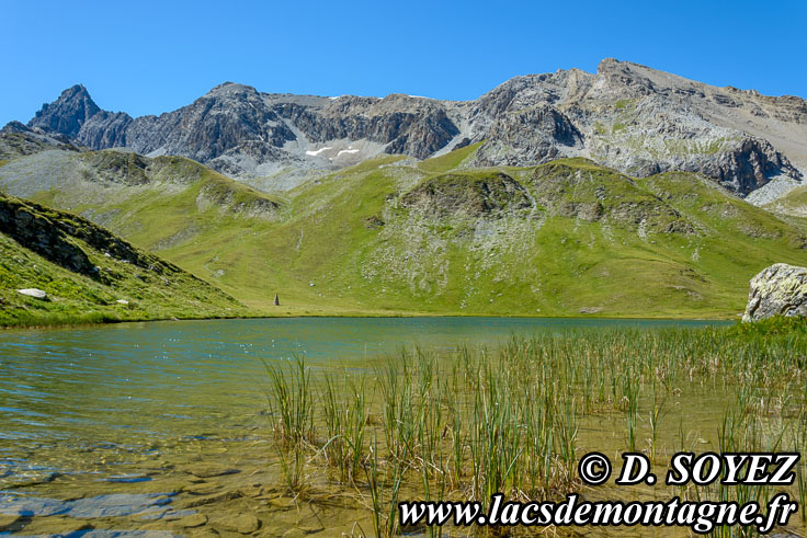 Photo n201607146
Lac des Cordes (2446m) (Brianonnais, Hautes-Alpes)
Clich Dominique SOYEZ
Copyright Reproduction interdite sans autorisation